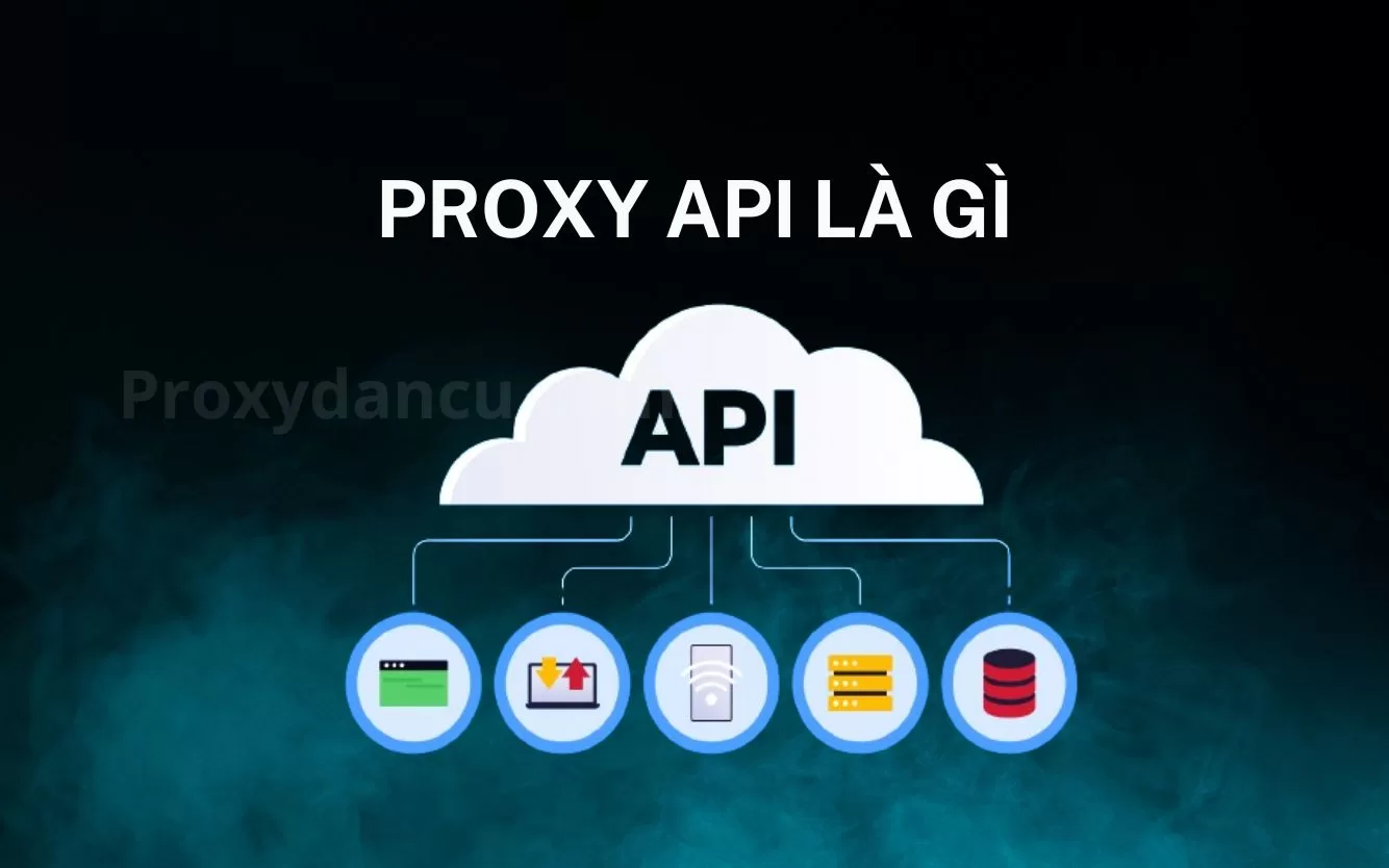 Proxydancu.com